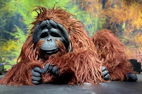 Amazing Animals 9