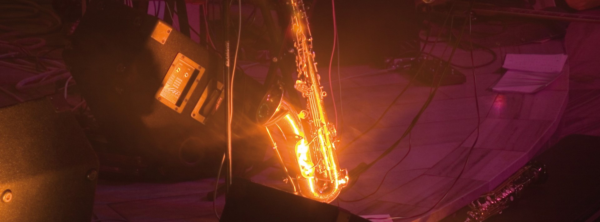 Music Centre Concert